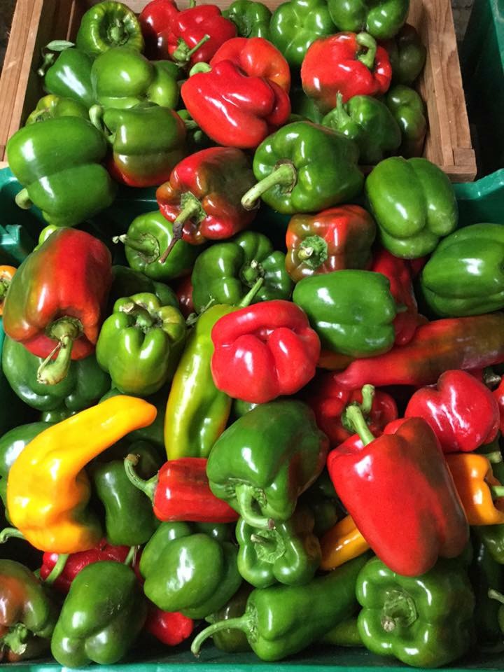 A crate of green, red and yellow capsicum peppers