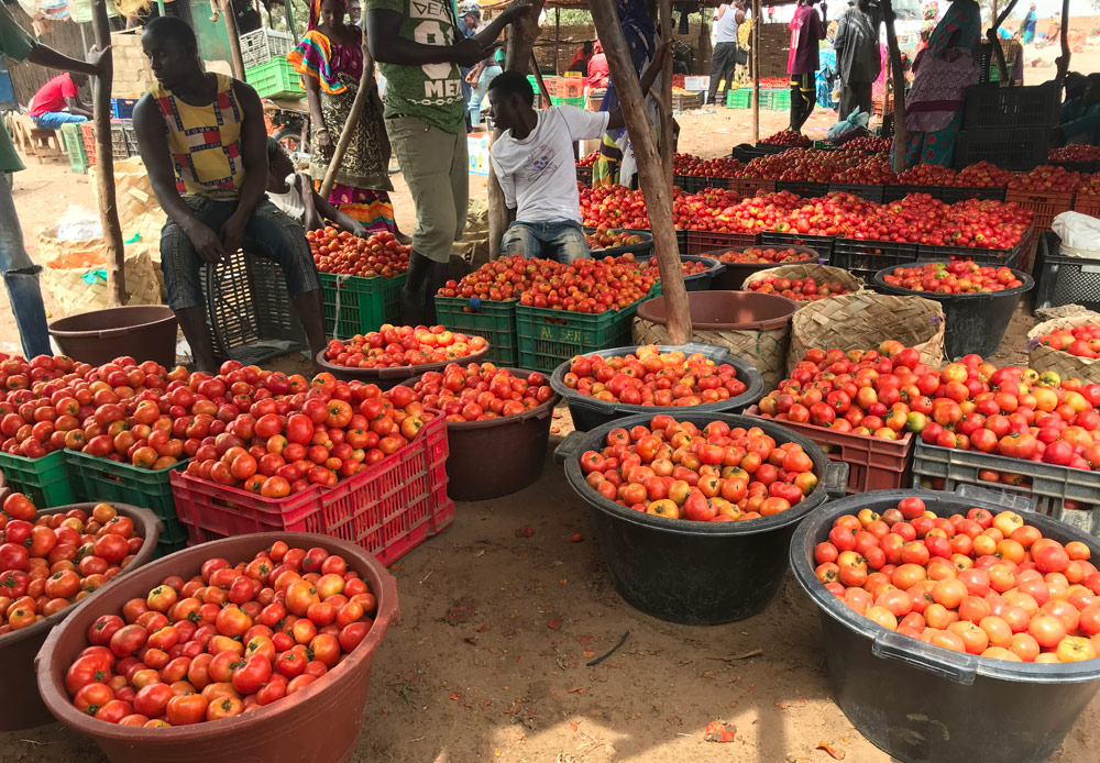 Crates of fresh tomatoes at a busy market