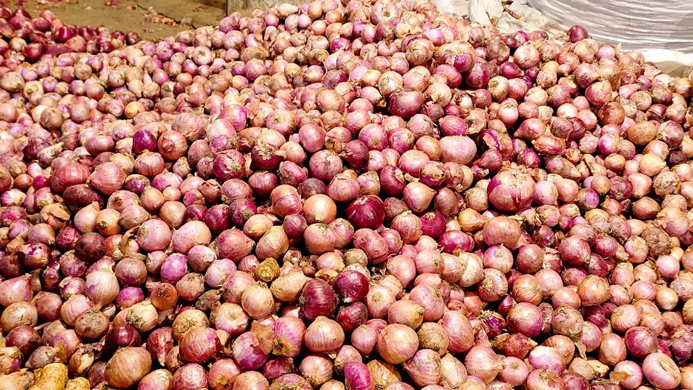 A large pile of fresh red onions